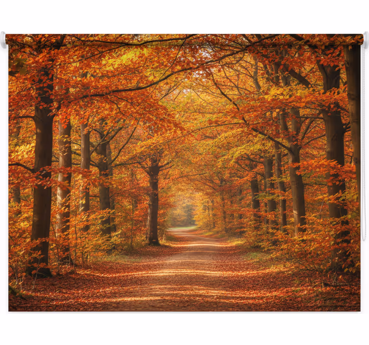 Tree blind autumn path of trees - TenStickers