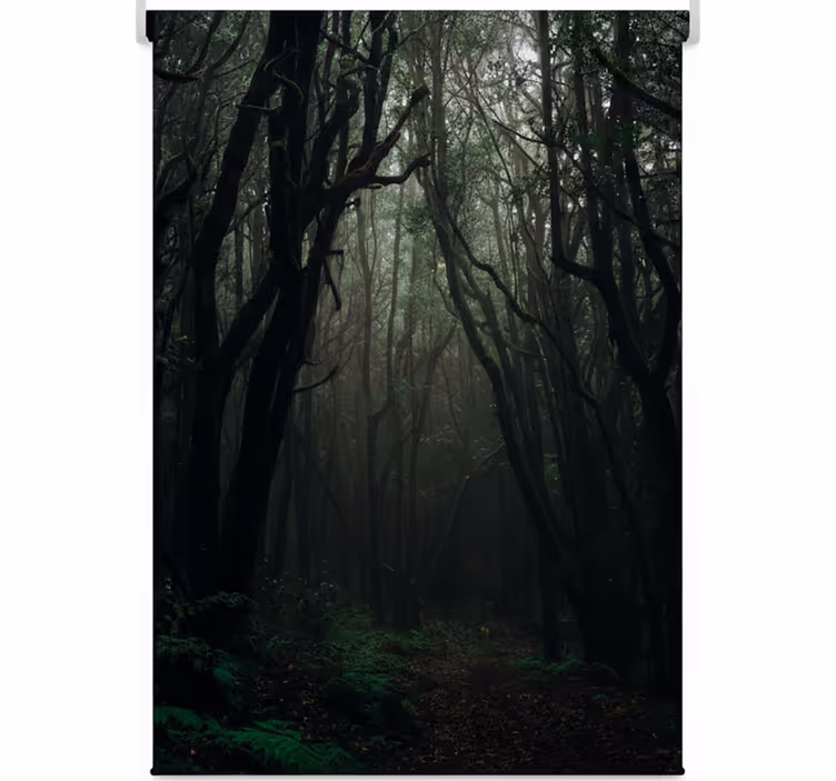 Tree blind in dark enchanted forest - TenStickers