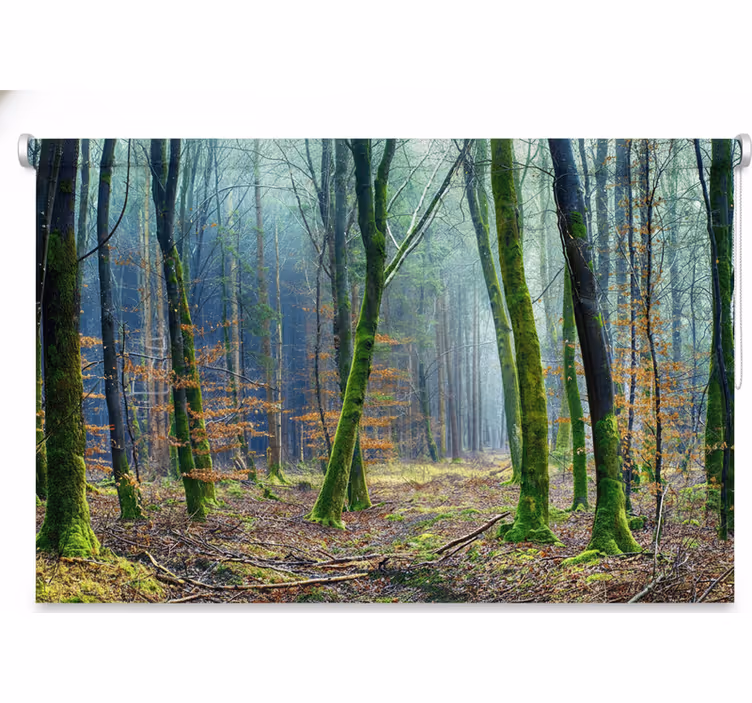 Tree blind foggy forest japandi - TenStickers
