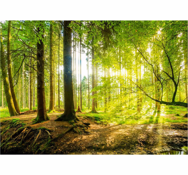 Lush mountain valley tree blind - TenStickers