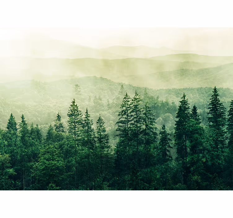 Kitchen roller blind in green forest treetops - TenStickers