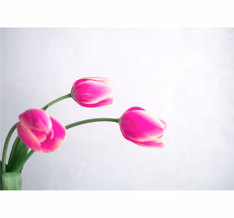 Kitchen roller blind three tulips on white background - TenStickers