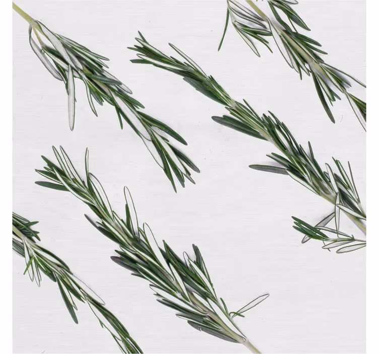 Kitchen roller blind rosemary - TenStickers
