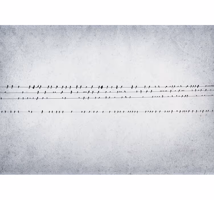 White window blind birdsong on lines - TenStickers