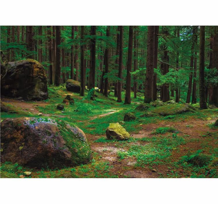 Living room blind green forest with trees - TenStickers