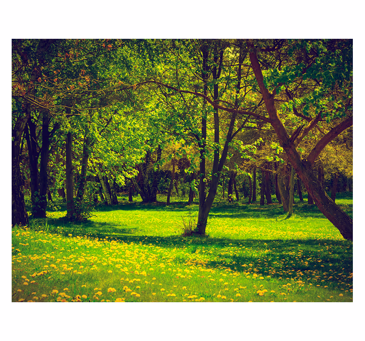 Living room blind serene forest view - TenStickers
