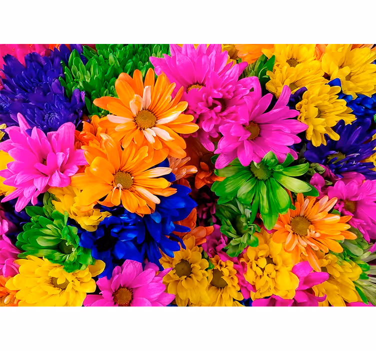 Living room blind colorful chrysanthemum design - TenStickers