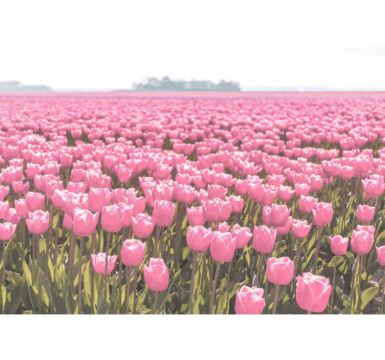 Living room blind in a field of pink tulips - TenStickers