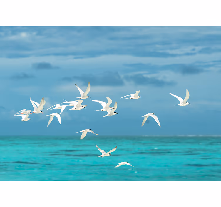 Living room blind with soaring birds design - TenStickers