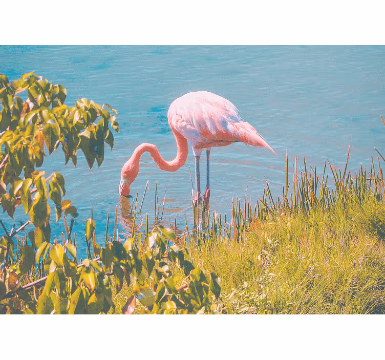 Beautiful flamingo standing near the water living room blind - TenStickers