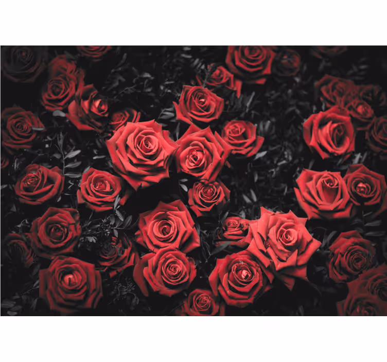 Living room blind in black and white with red roses - TenStickers
