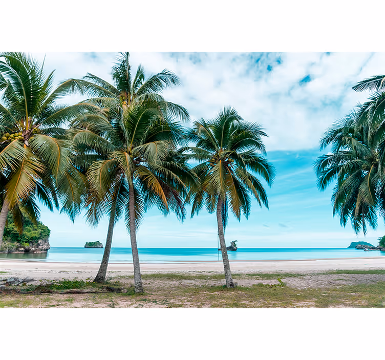 Living room blind sea beach palms sand - TenStickers