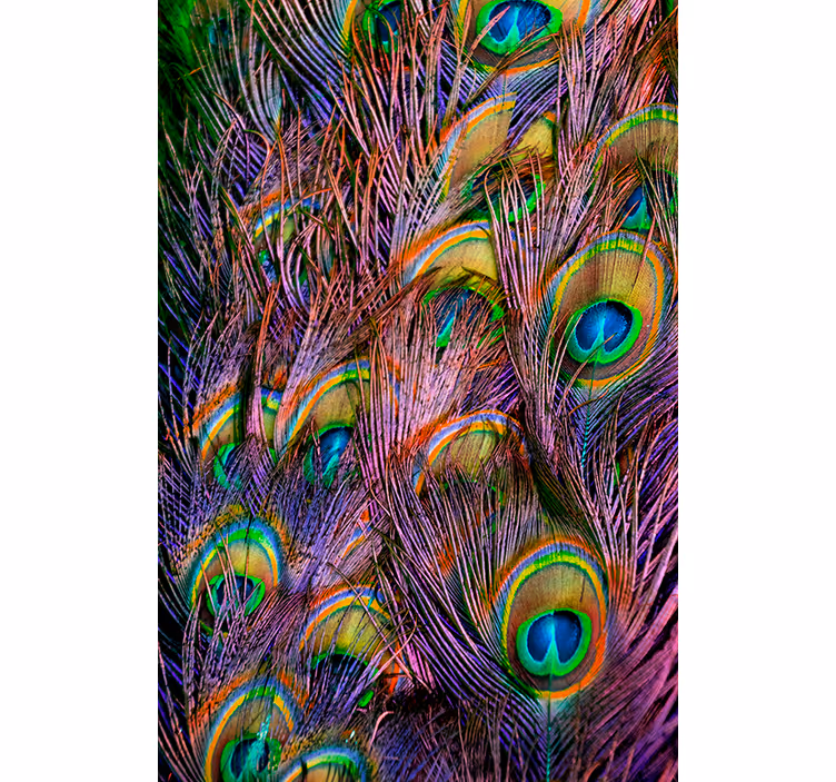 Living room blind peacock feather design - TenStickers
