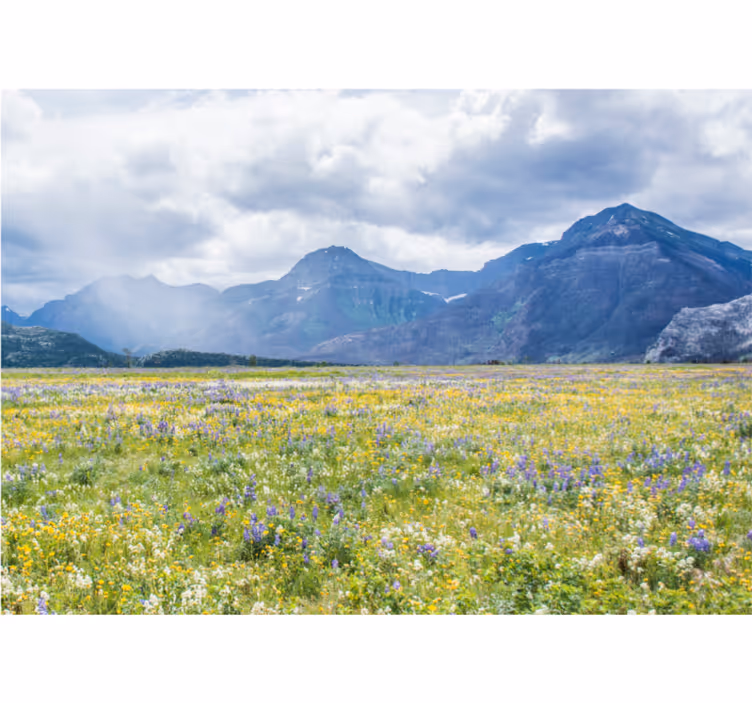 Living room blind small flower meadow - TenStickers
