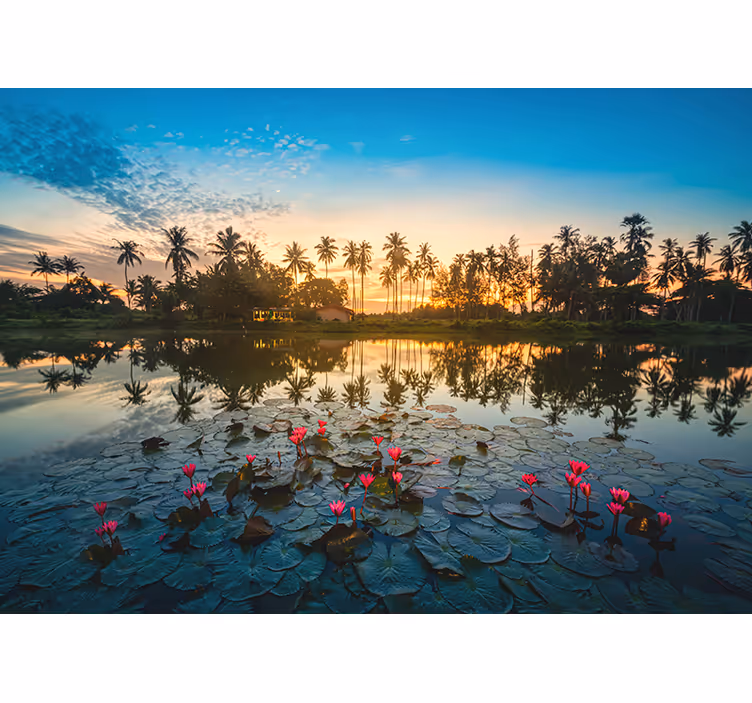 Loto flower at dawn living room blind - TenStickers