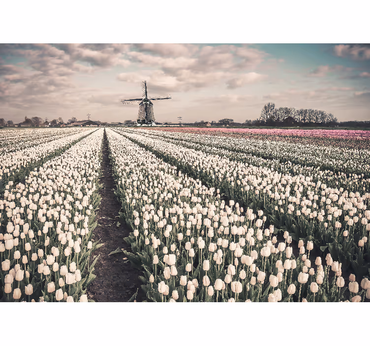 Living room blind tulip field with windmill - TenStickers