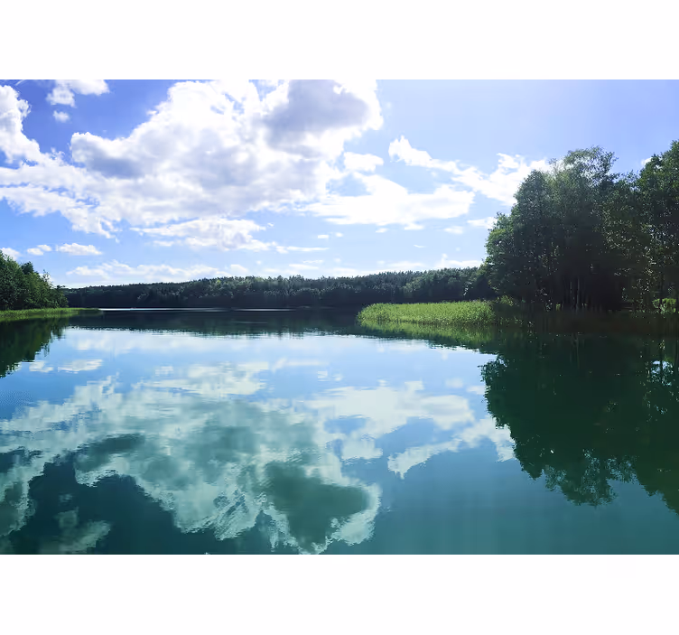 Living room blind inspired by mazury lake - TenStickers