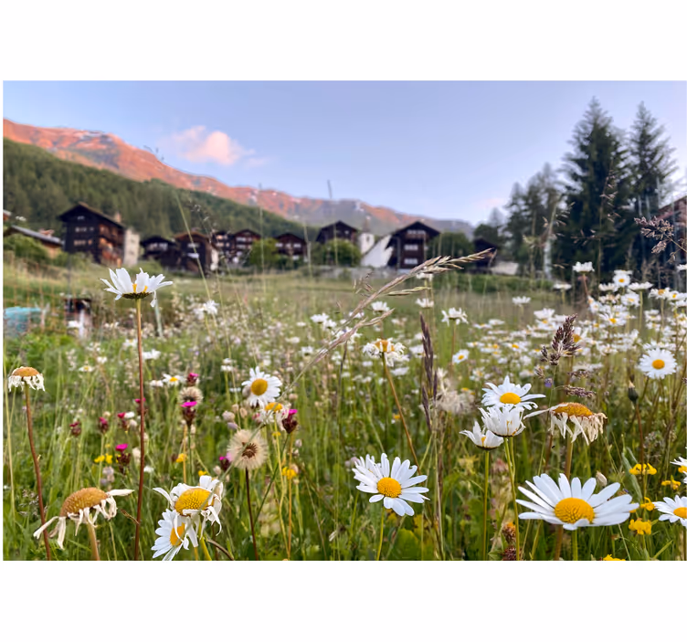Living room blind floral village landscape - TenStickers