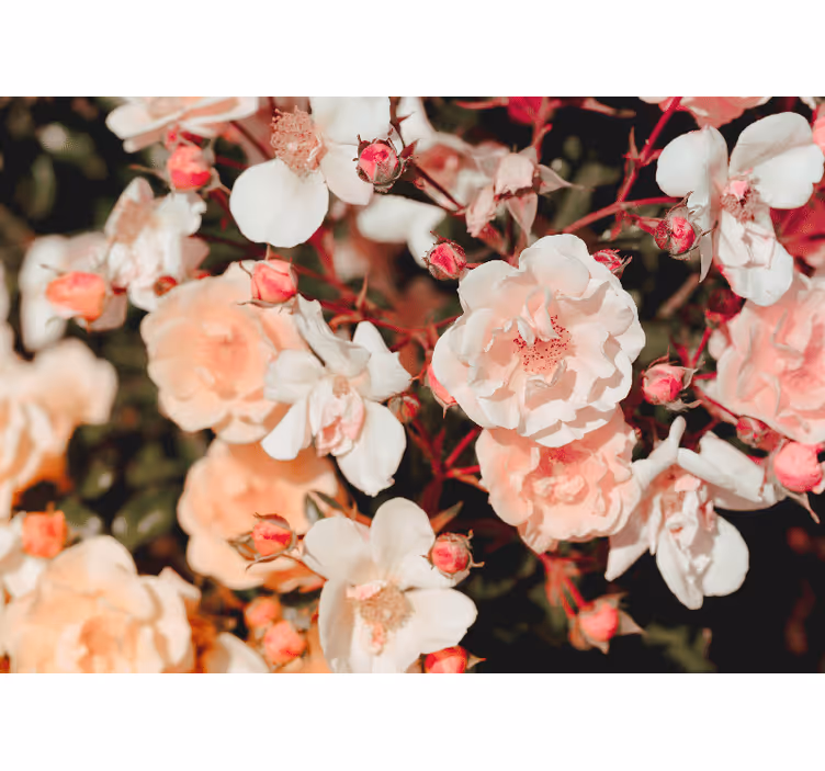 Living room blind with plenty of flowers - TenStickers