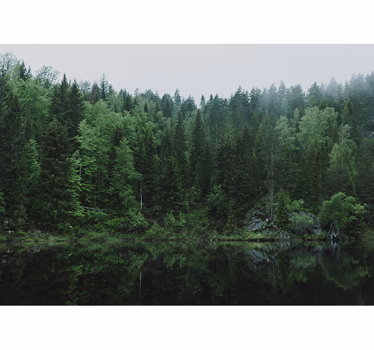 Living room blind a forest by the lake - TenStickers