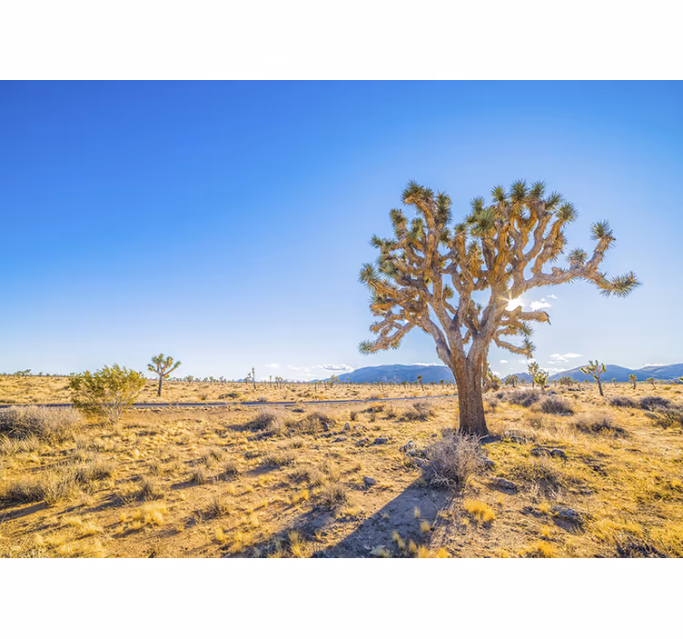 Living room blind desert design with tree - TenStickers