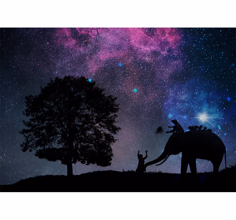 Living room blind starry night elephant - TenStickers