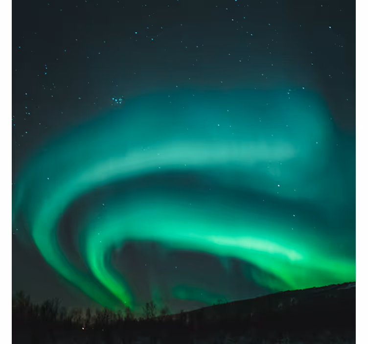 Living room blind in beautiful green northern light - TenStickers