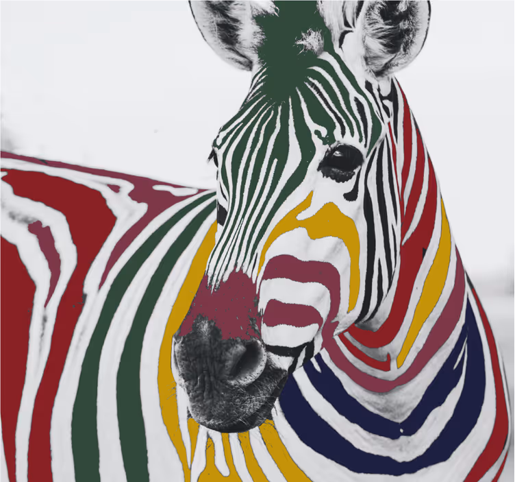 Living room blind colorful zebra wall art - TenStickers
