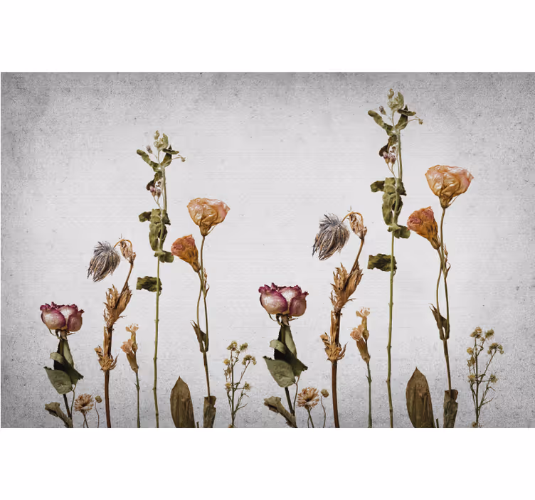 Living room blind with scandinavian style dried plants - TenStickers