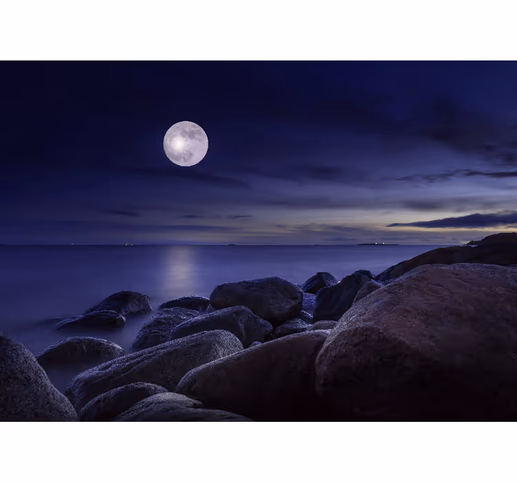 Blind bedroom original landscape with moonlight - TenStickers