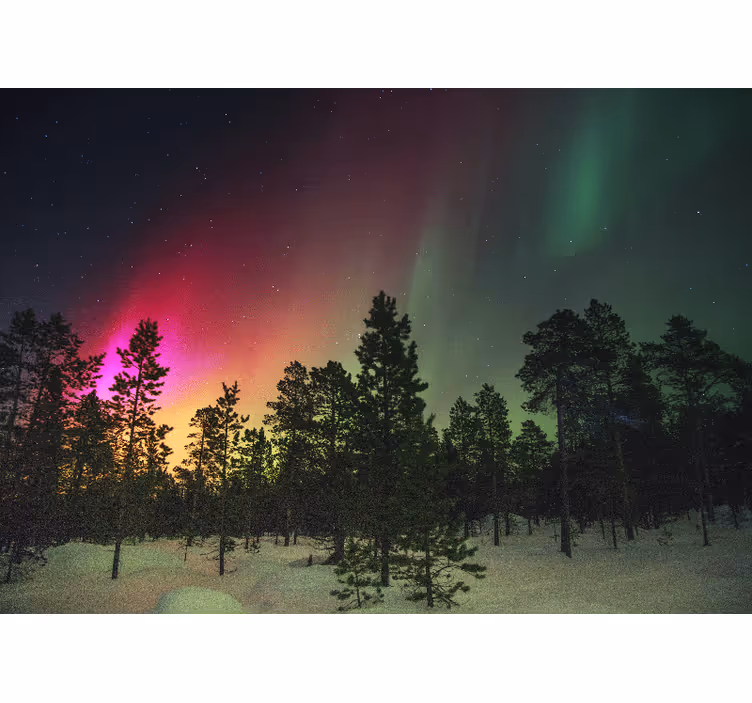 Blind bedroom with northern lights over trees - TenStickers