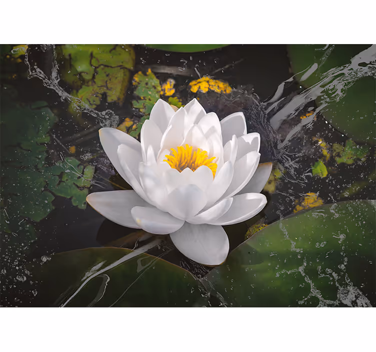 Blind bedroom white and yellow lotus design - TenStickers