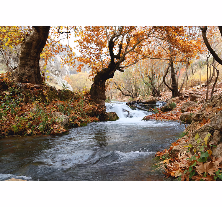 Blind bedroom autumn river rapids - TenStickers