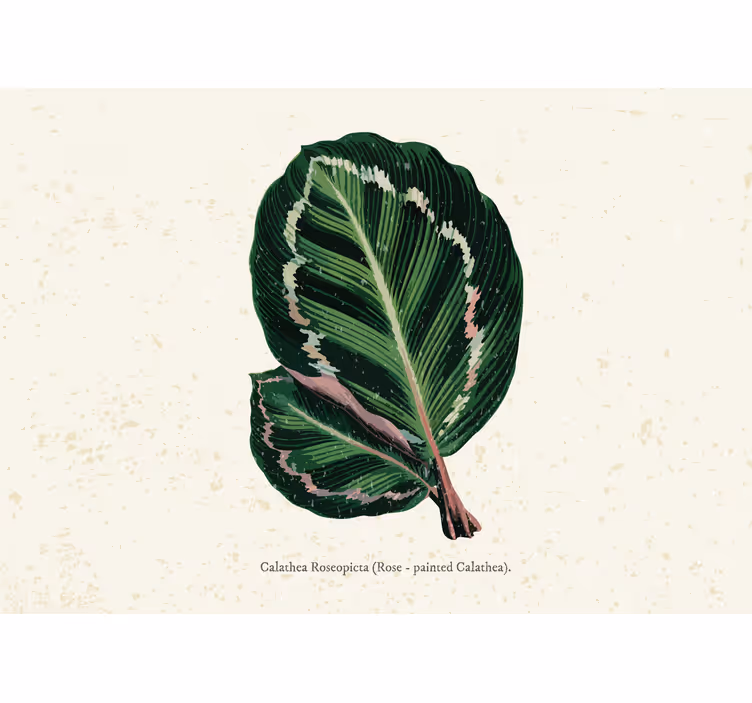 Blind bedroom with green and red maranta leaves - TenStickers