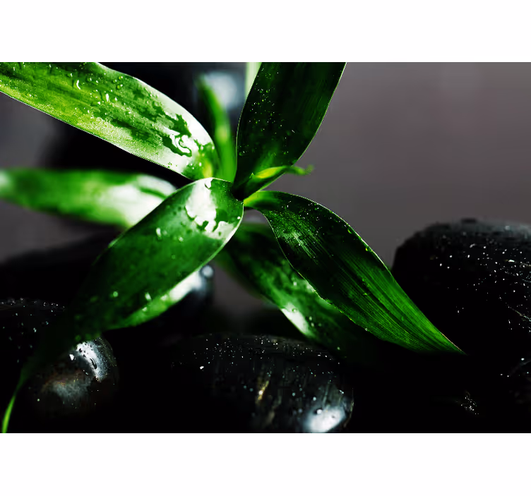 Blind bedroom zen black stones on water decor - TenStickers