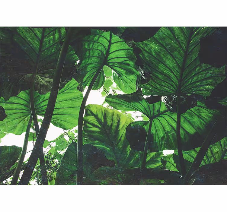 Blind bedroom beautiful green rainforest design - TenStickers