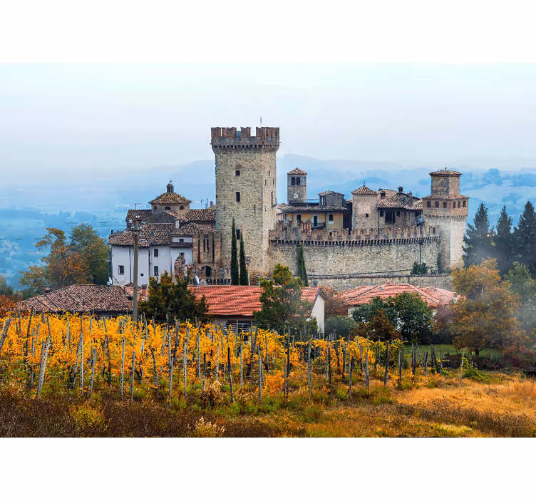 Blind bedroom with beautiful emilia-romagna vineyards design - TenStickers