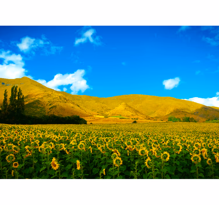 Blind bedroom spring landscape with fields - TenStickers