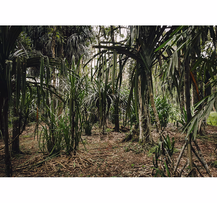 Blind bedroom tropical forest depths - TenStickers