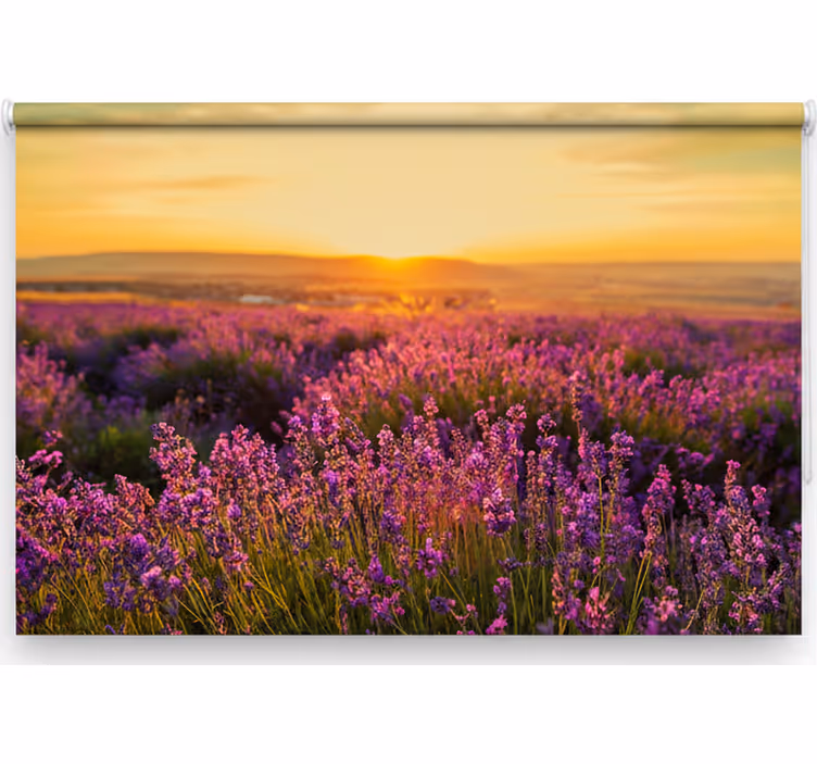Blind bedroom provence panorama - TenStickers