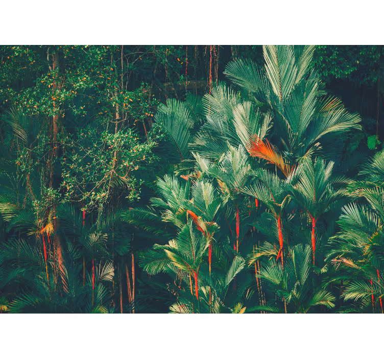 Blind bedroom jungle morning - TenStickers