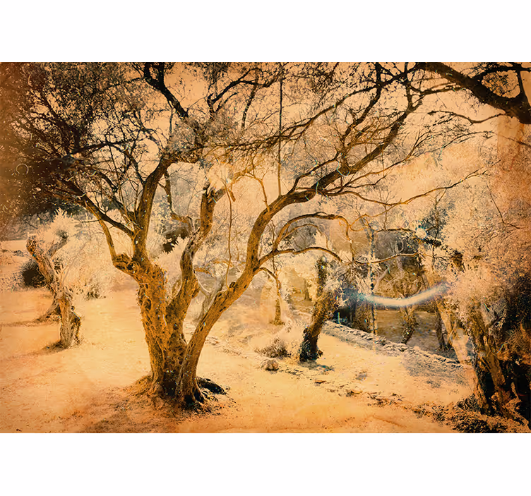 Blind bedroom in a serene olive grove - TenStickers