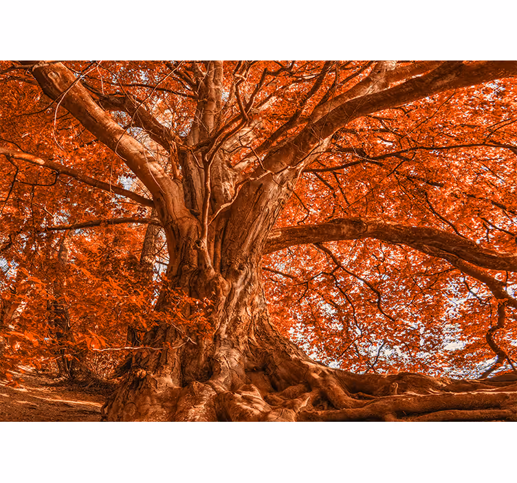 Blind bedroom big beautiful autumn tree - TenStickers