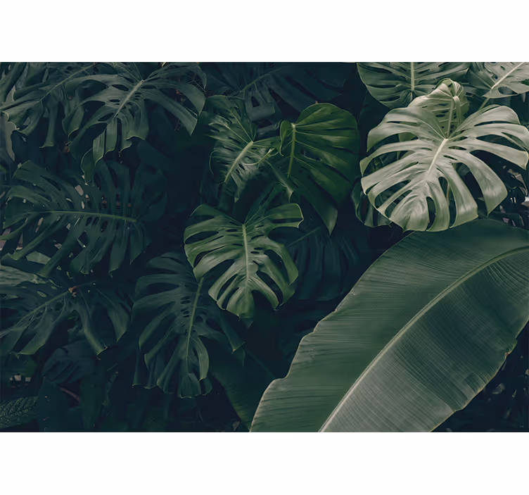 Blind bedroom beautiful green jungle forest - TenStickers