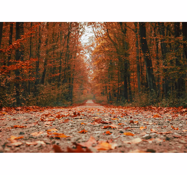 Blind bedroom with beautiful colorful autumn leaves - TenStickers