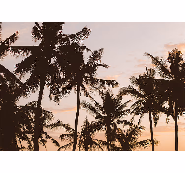 Blind bedroom sunset palm tree design - TenStickers