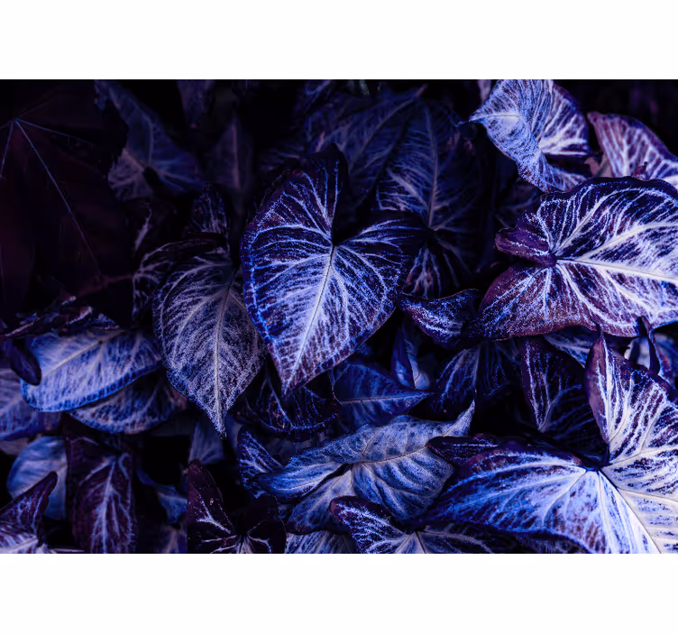 Blind bedroom psychedelic dream leaves - TenStickers