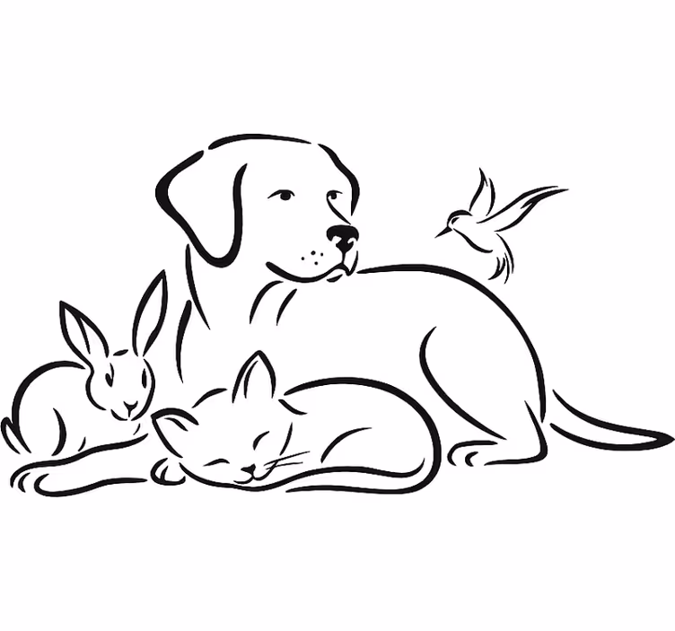 White window blind pets wall decal - TenStickers