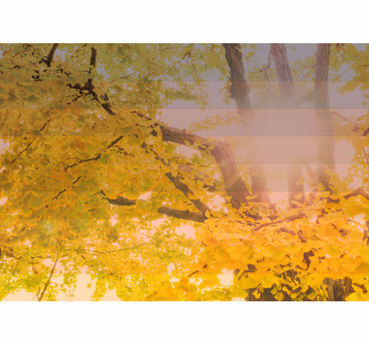 Blind children enjoying a sparkling autumn scene - TenStickers
