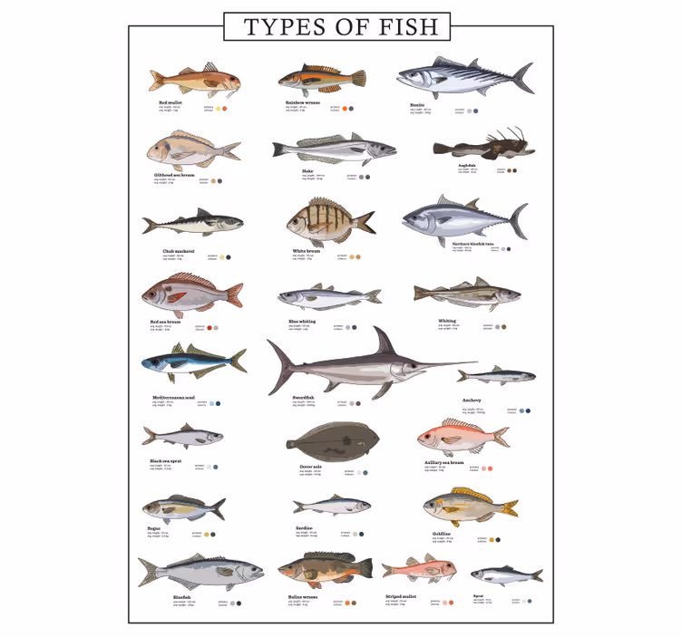 Kitchen roller blind with fish design - TenStickers